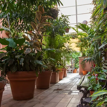 Romeo 3* Κατάνια