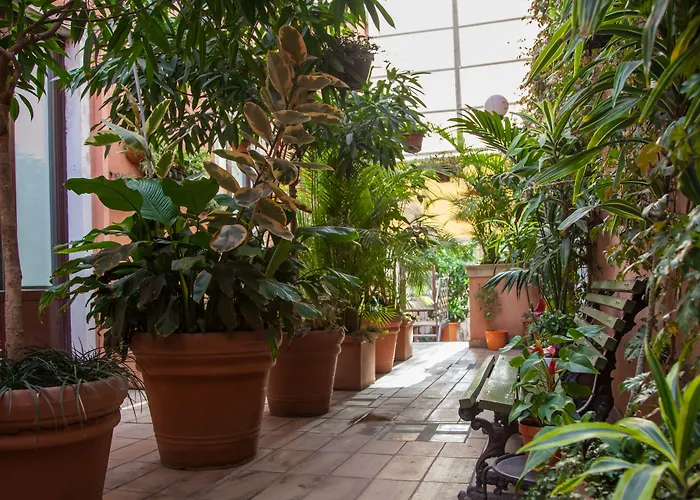 Romeo 3* קטאניה